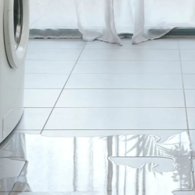 Appliance Leak Cleanup in Springfield, MN