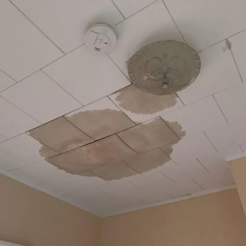 Ceiling Water Damage Repair in Springfield, MN