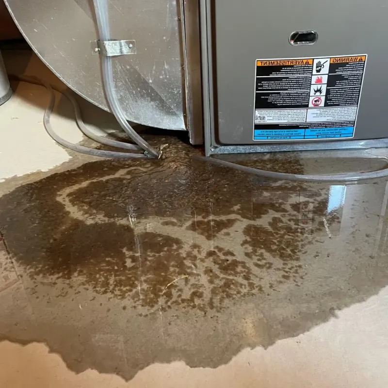 Pipe Burst and Leak Restoration in Springfield, MN