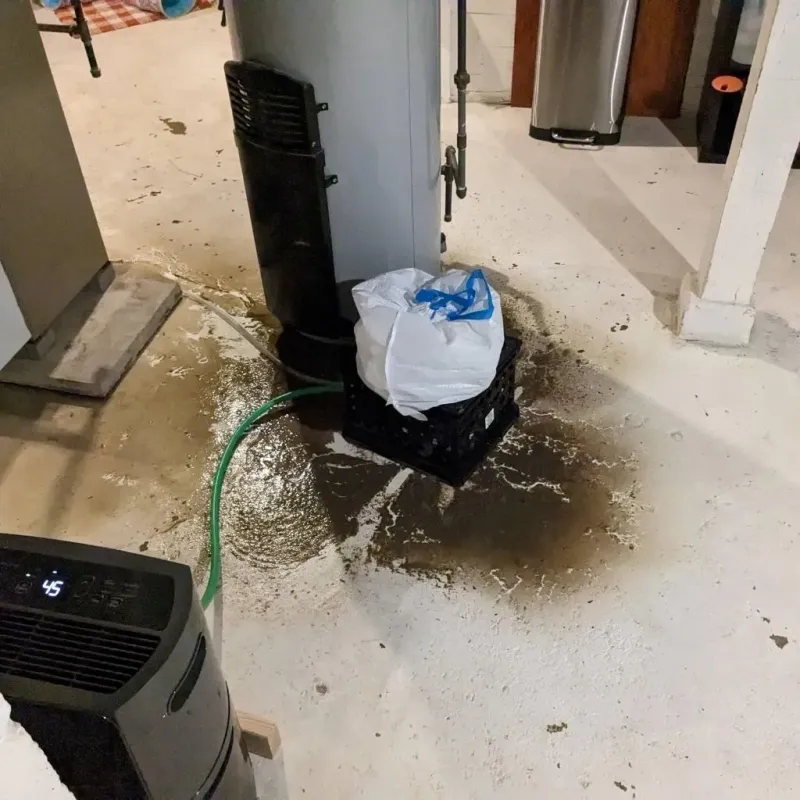 Sewage Backup Cleanup Service in Springfield, MN